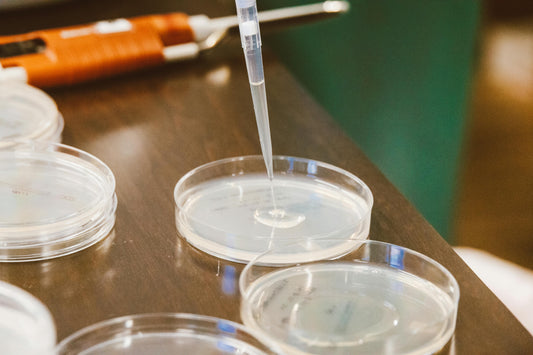 Complément alimentaire minimaliste comparaison des formules