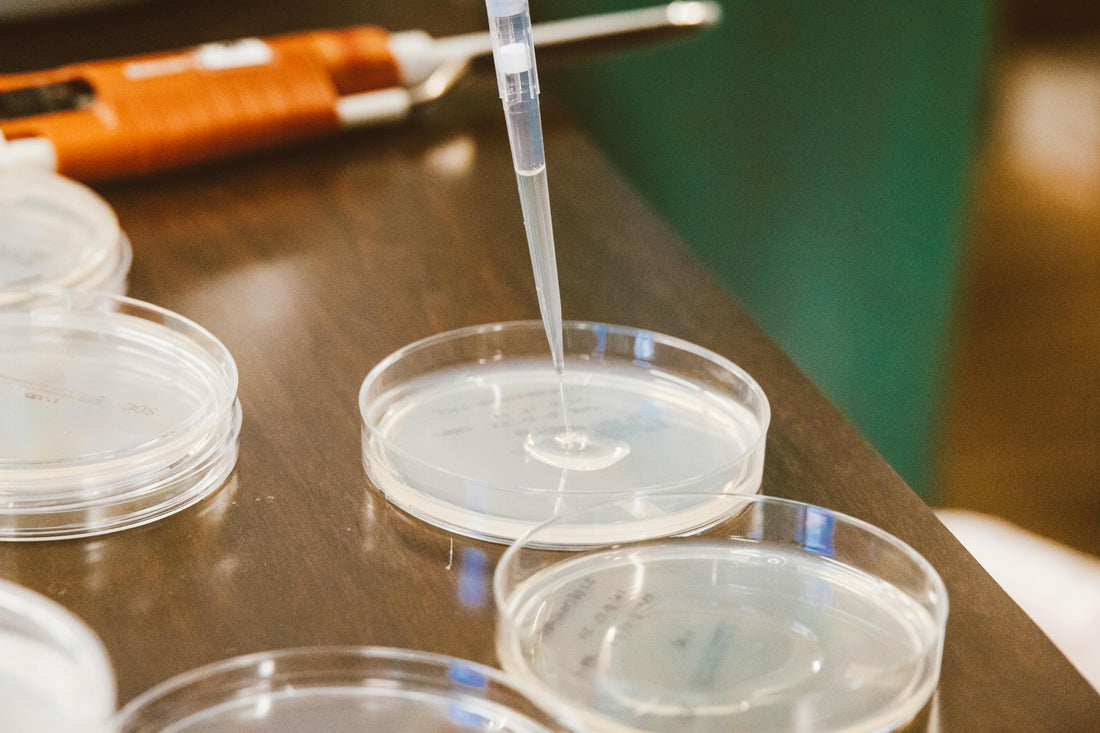 ANALYSE : composition multi-ingrédient ou minimaliste ?