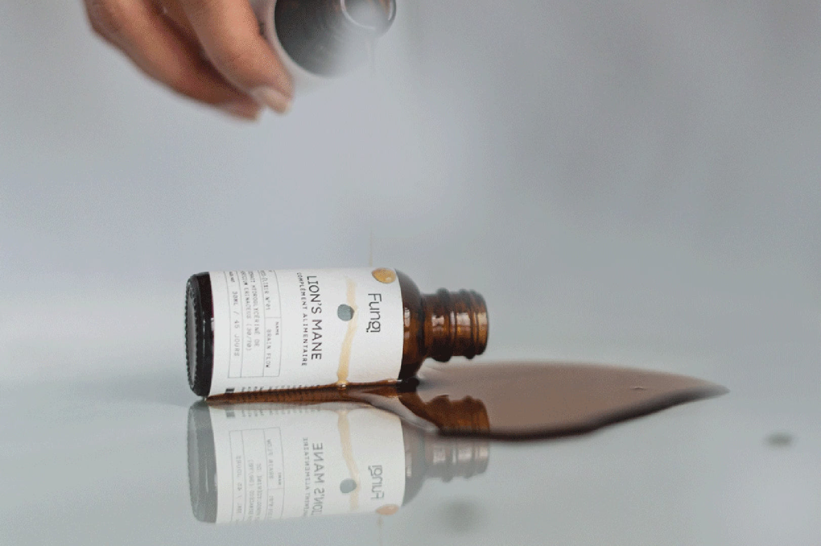 Charger la vidéo : 